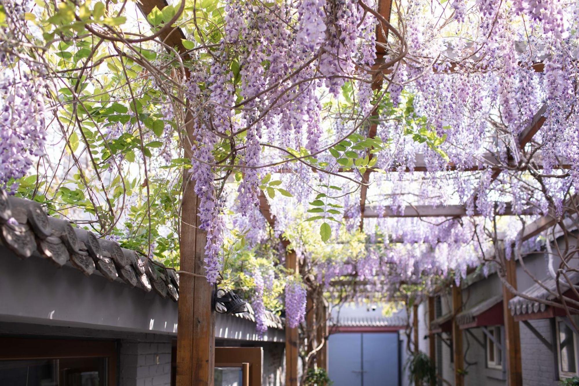 Guipu Beihai Courtyard Hotel 北京 エクステリア 写真